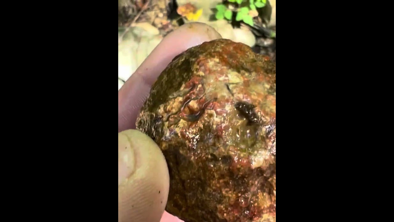 Out doing some Hillbilly Rock Star Kentucky Agate hunting. Check it out y’all!