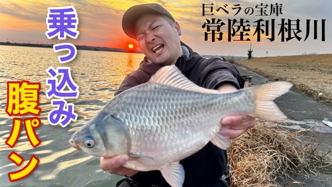 『常陸の大型ヘラブナ』乗っ込み間近の巣離れした巨ベラを狙ってへらぶな釣り【常陸利根川】