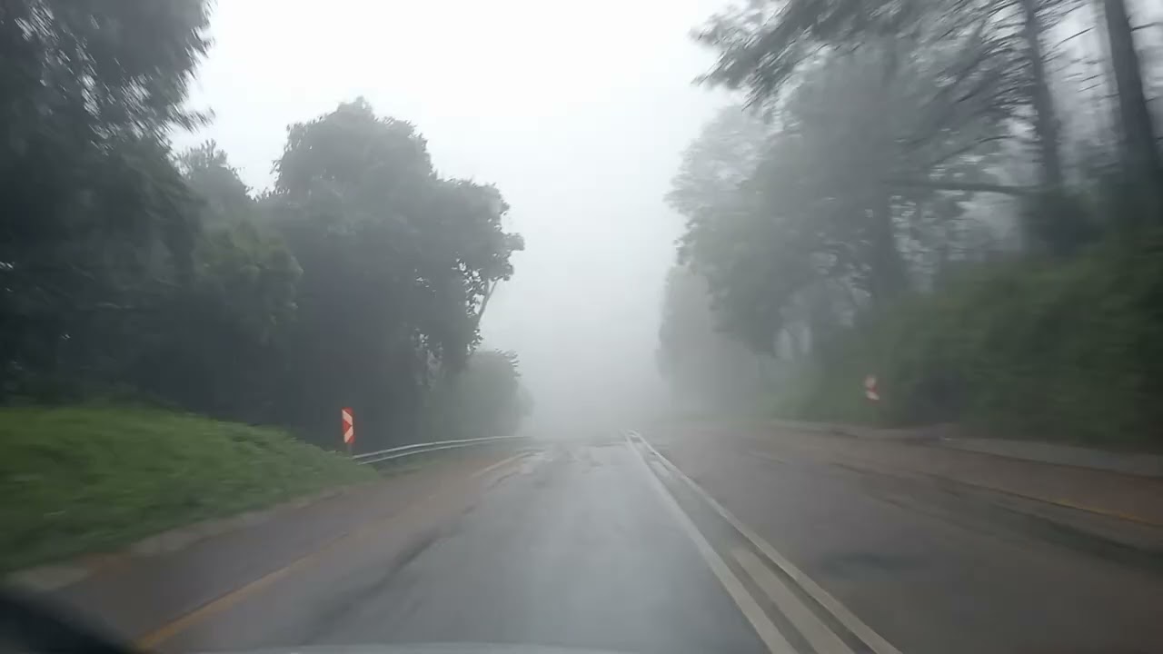 Travelling on a very misty and rainy Magoebaskloof Mountain ⛈️