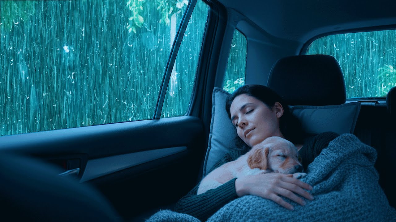 Duerme rápido esta noche 🚗 Lluvia natural y truenos en un auto acogedor