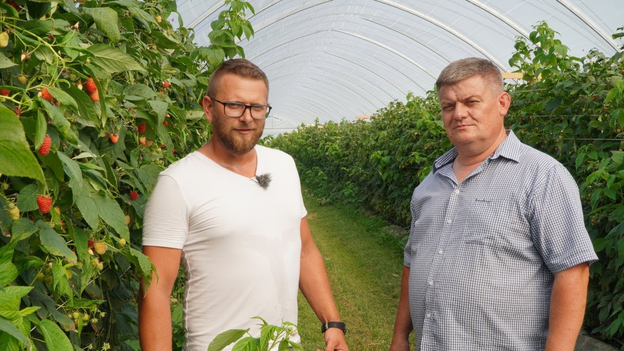 Maliny w tunelach u Mateusza Kwiatkowskiego
