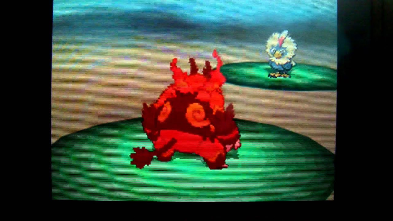 Pokemon Black and White How to Find/Catch Rufflet