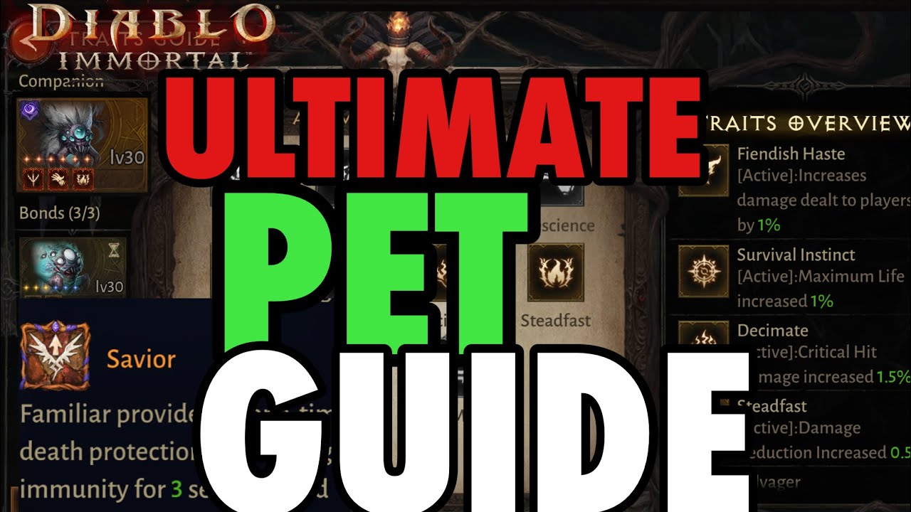 The Ultimate Pet Guide! Get The Best Familiars in Diablo Immortal! Don't Make these HUGE MISTAKES