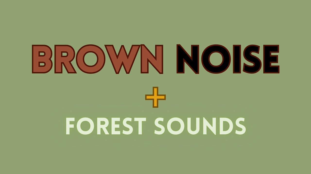 Brown Noise & Forest Sounds | When the World Feels Too Loud