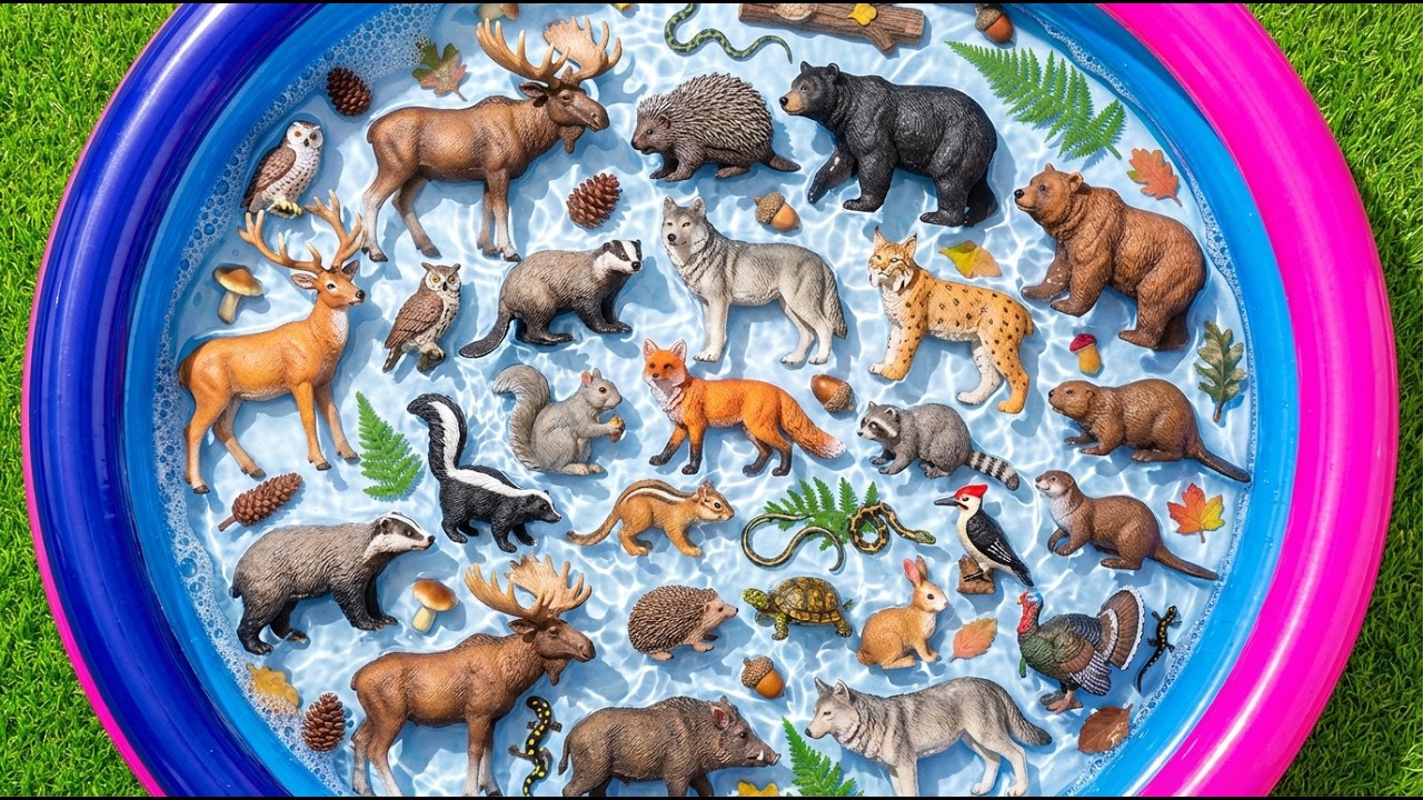 Forest Animals For Toddlers: Tiger, Deer, Fox & Bear Adventure | Toddler Learning Video
