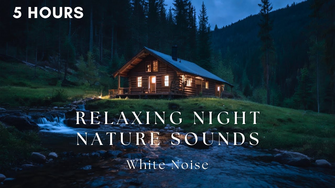 Relaxing Forest Night Sounds White Noise | 5 Hours Relaxing Sleep Therapy