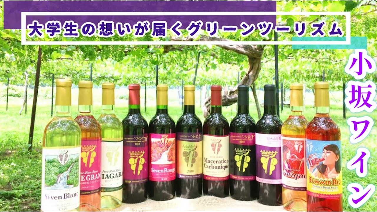 学生交流事業「大学生の想いが届くグリーンツーリズム」| 秋田県立大学 & 小坂町 連携事業