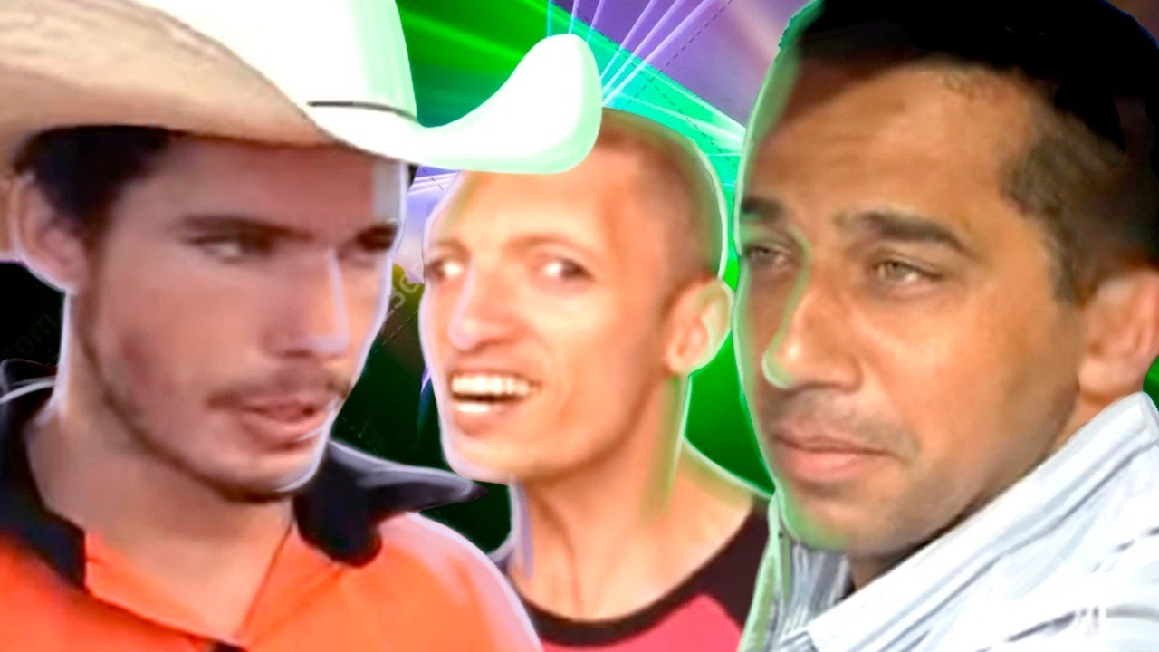 MEMES DE QUALIDADE E SINCRONIA