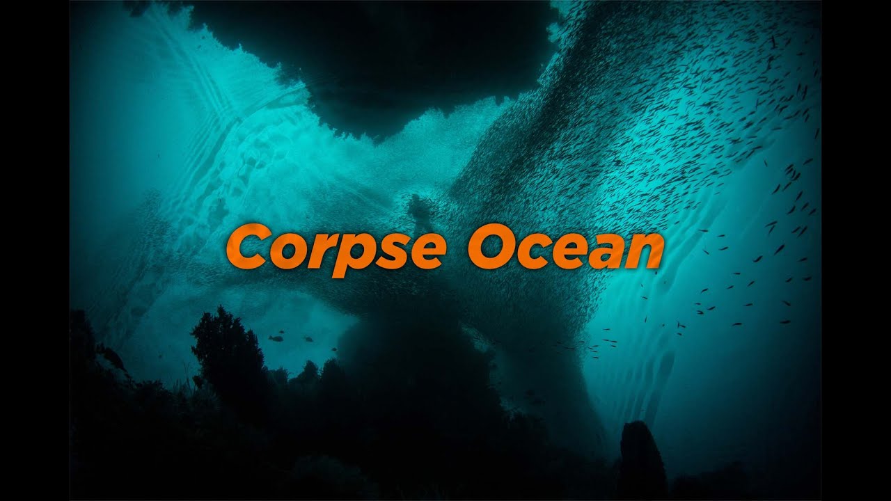 Corpse Ocean / Gameplay video  / Full walkthrough / No commentary