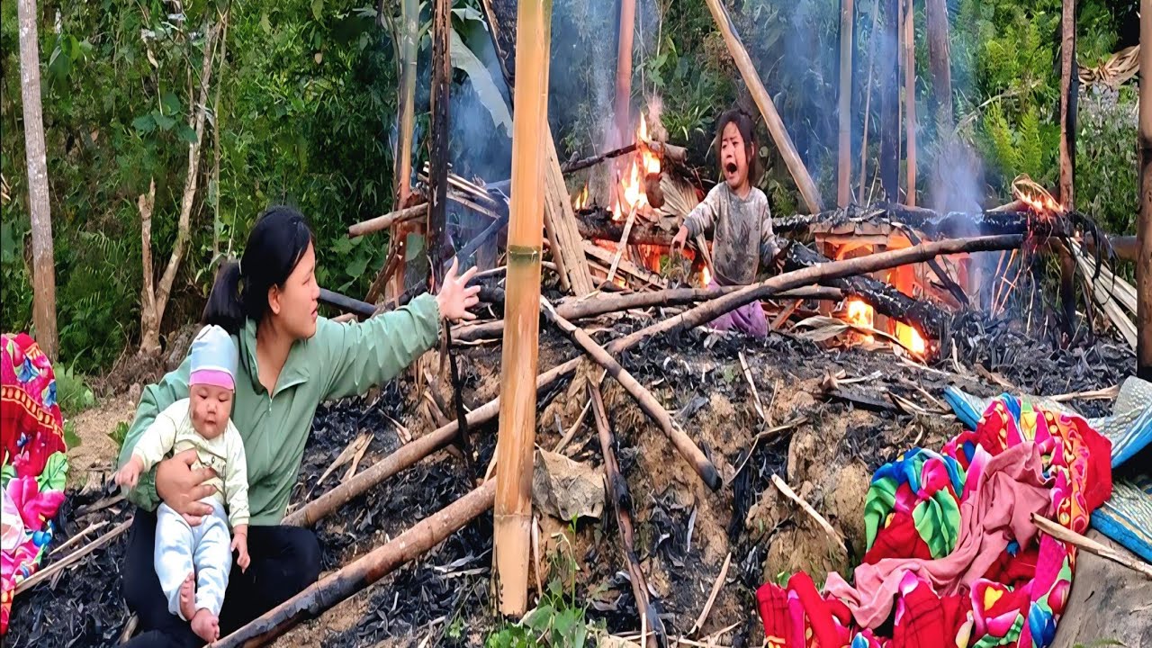 Single Mother Harvests Wild Bananas to Survive After Her House Burned Down Unexpectedly