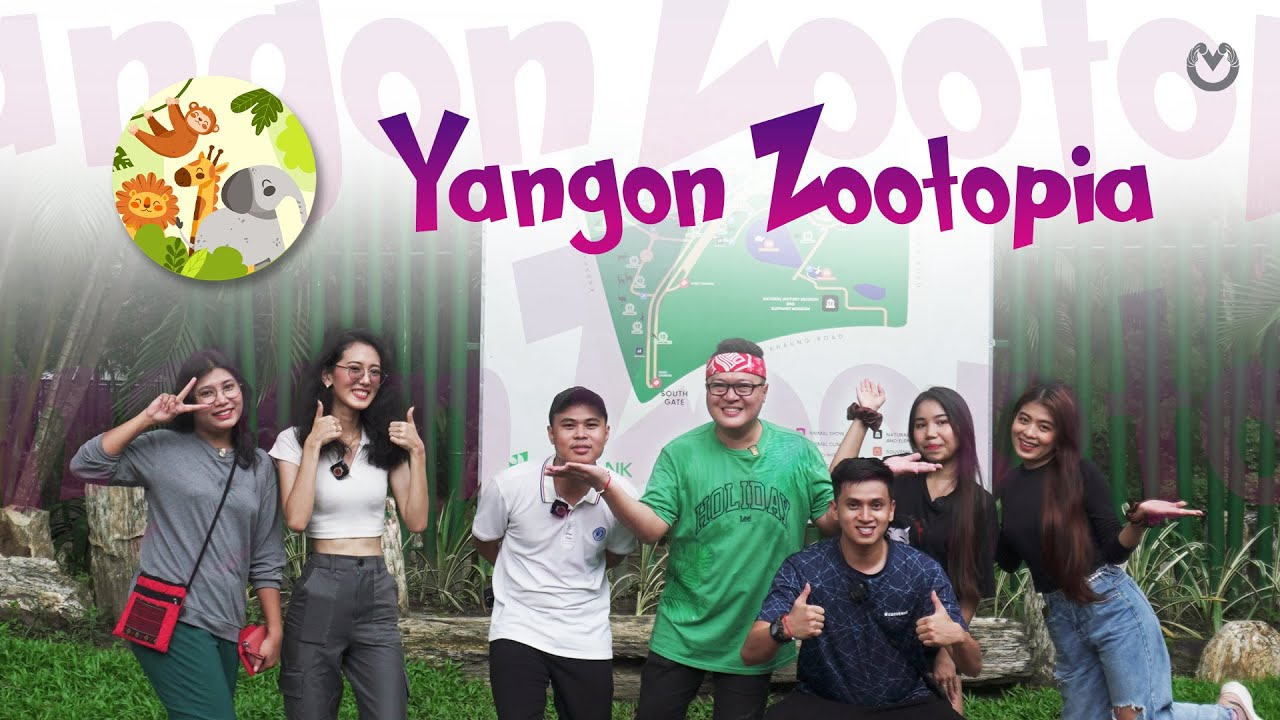 တိရစ္ဆာန်ဥယျာဉ်ထဲက Yangon Zootopia အဖွဲ့ရဲ့ စွန့်စားခန်း 😱🐯🐍🦉🏃🏻‍♂️🏃🏼‍♀️