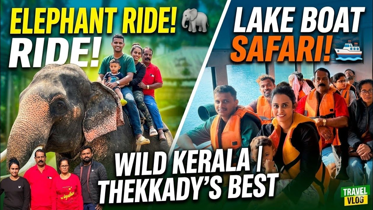 One Day in Thekkady | പ്ലാൻ ചെയ്യുന്നവർ തീർച്ചയായും കാണുക|#thekkadyboating #thekkady #travel #vlog 