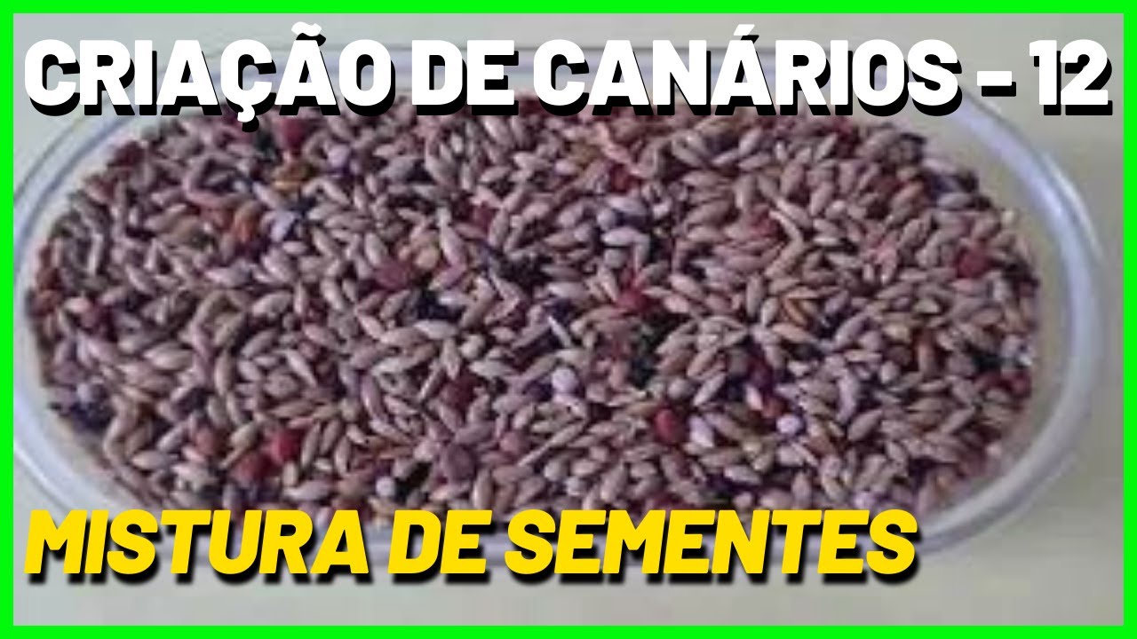MISTURA DE SEMENTES PARA CANÁRIOS DOMÉSTICOS - BELGAS