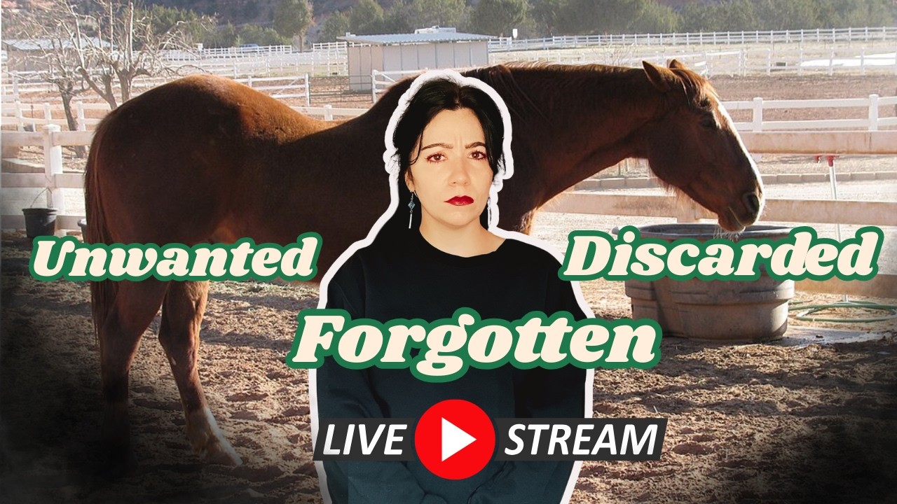 Horse Slaughter: It's Ugly...But Is It Necessary? (Livestream Debate)