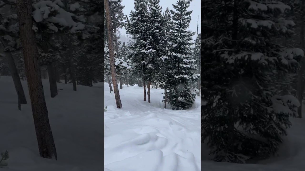 Powder day @ Mary Jane #PowDay #Skiing #SnowBoarding #Colorado #MaryJane #WinterPark #Pow #adventure