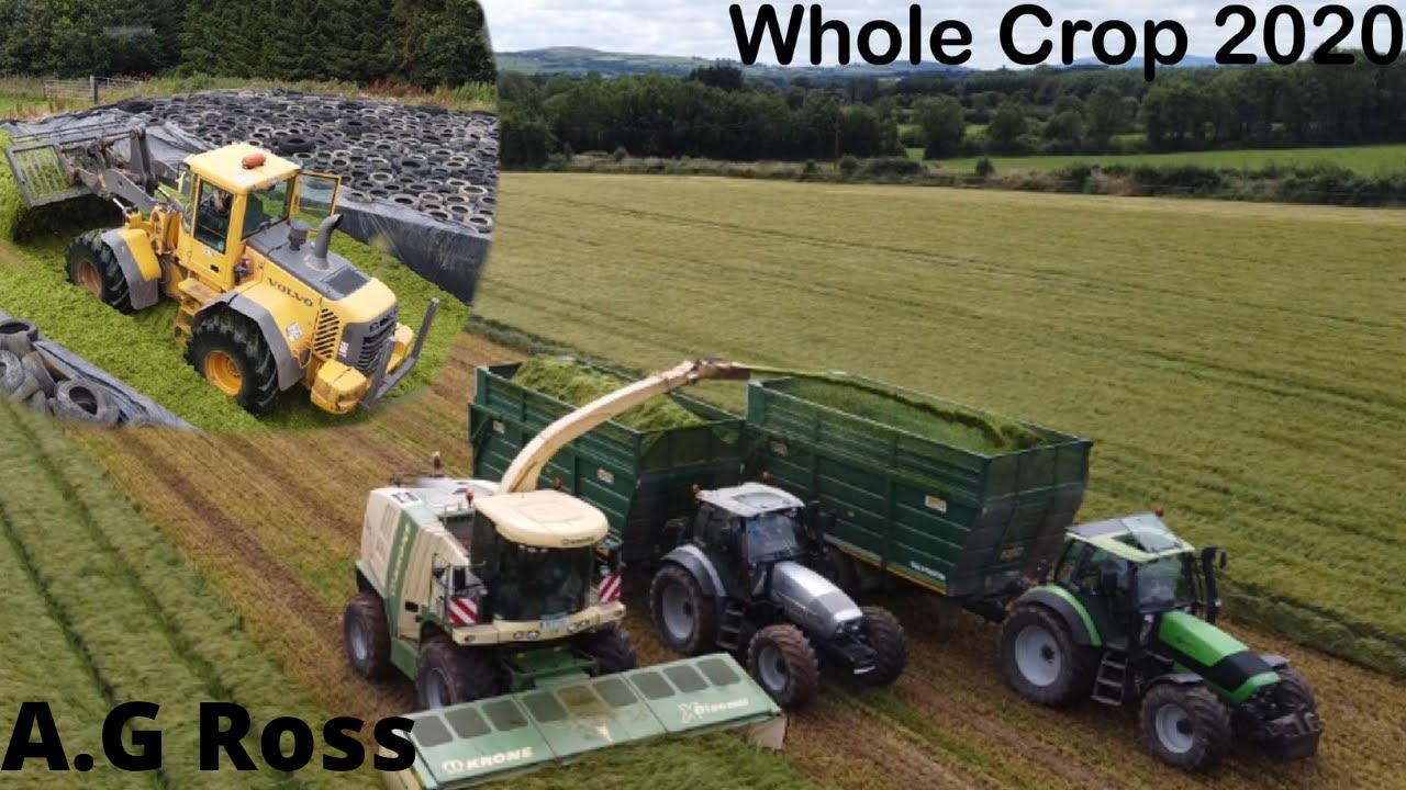 Start Of Whole Crop 2020 | A.G Ross - 4K
