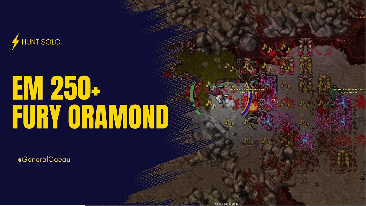 EM - Monk 250+ 4kk Raw XP/h Fury Oramond - Profit | Hunt Solo