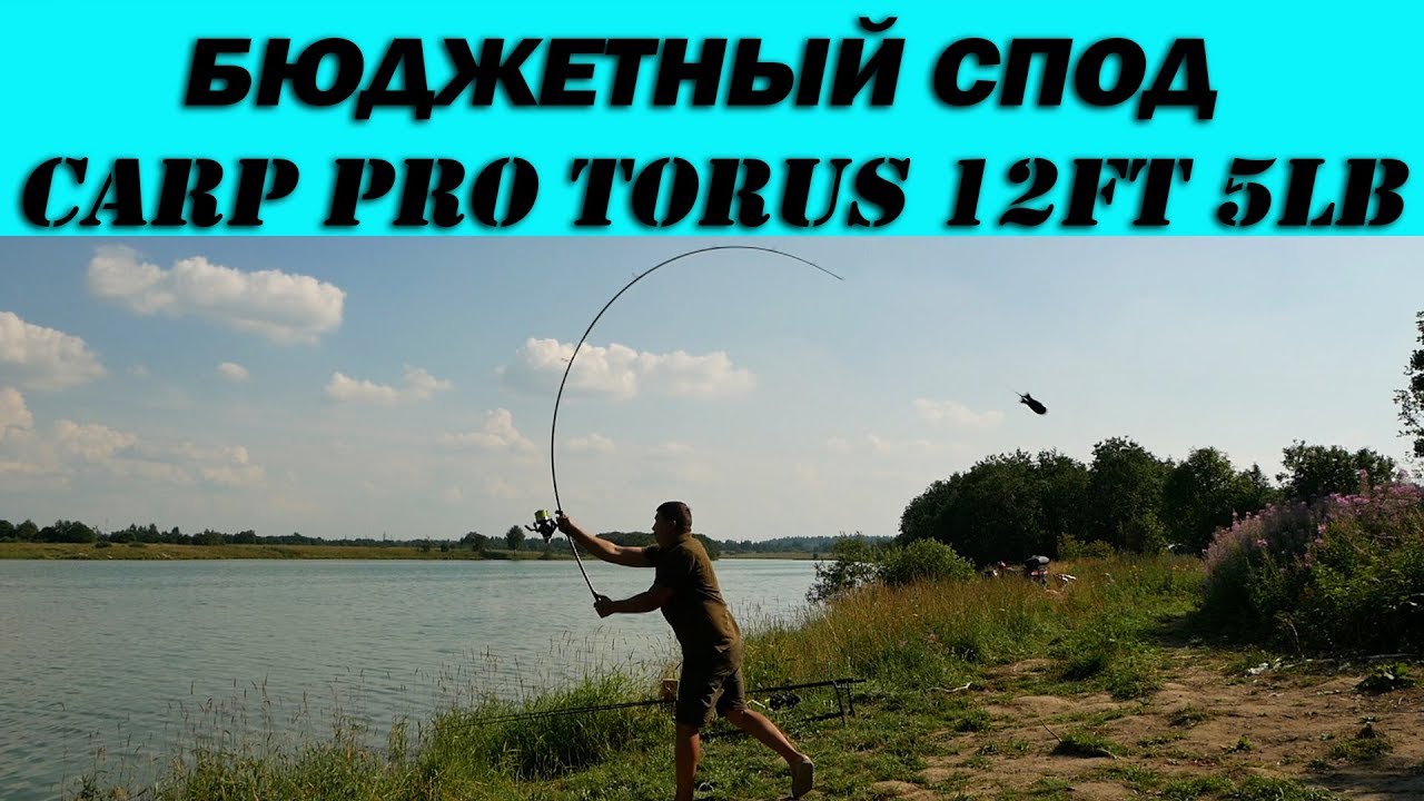 Честный обзор бюджетного спода Carp Pro Torus 12ft 5lb