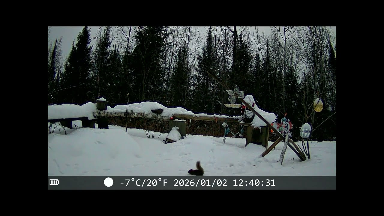 Making a snowman and trail cam