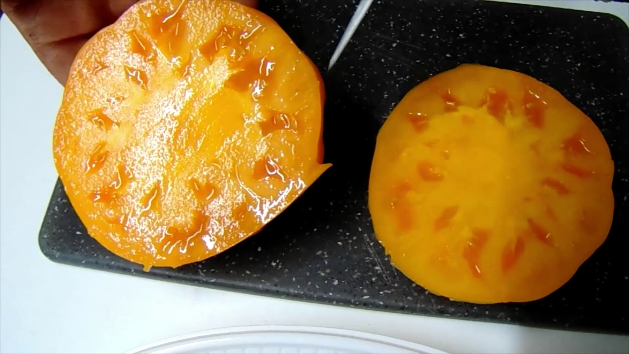 épisode 37:le 27/08/2019:La tomate rare