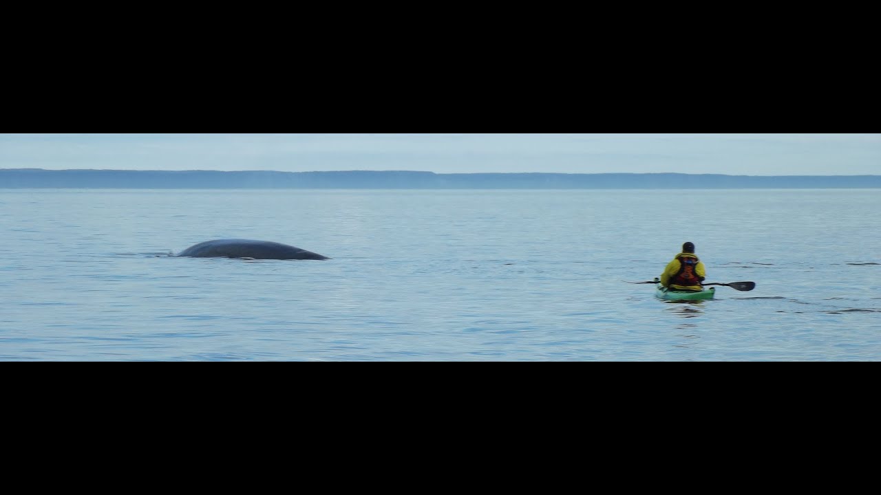 Best Kayaking Trip Ever