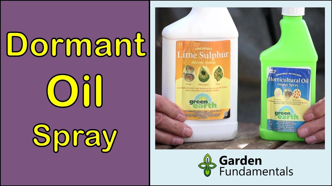 Dormant Oil Spray to Control Pests and Disease