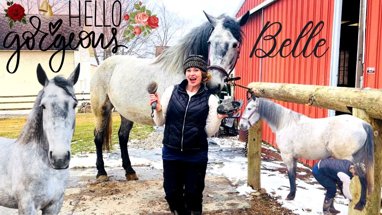 FIRST GROOMING SESSION WITH MY NEW MARE!
