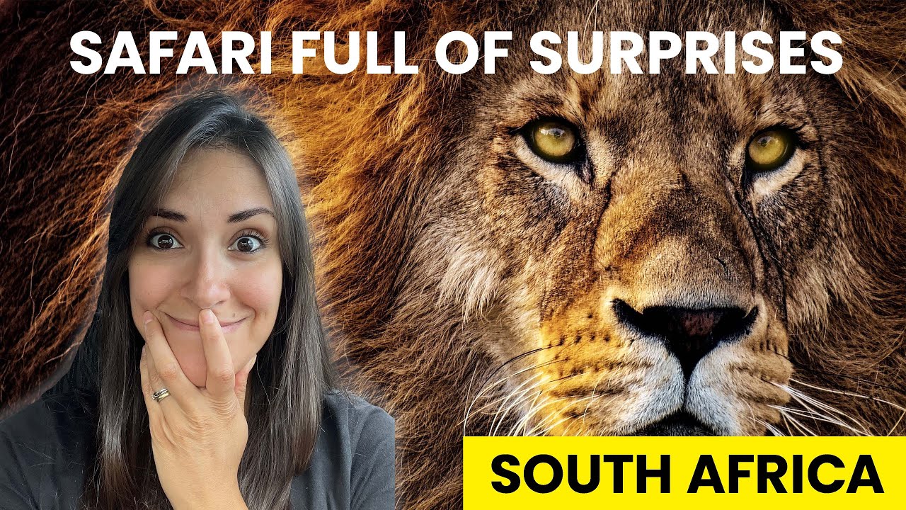 From Van Life to Wildlife? | Safari at Aquila Game Reserve | Cape Town, South Africa | Garden Route