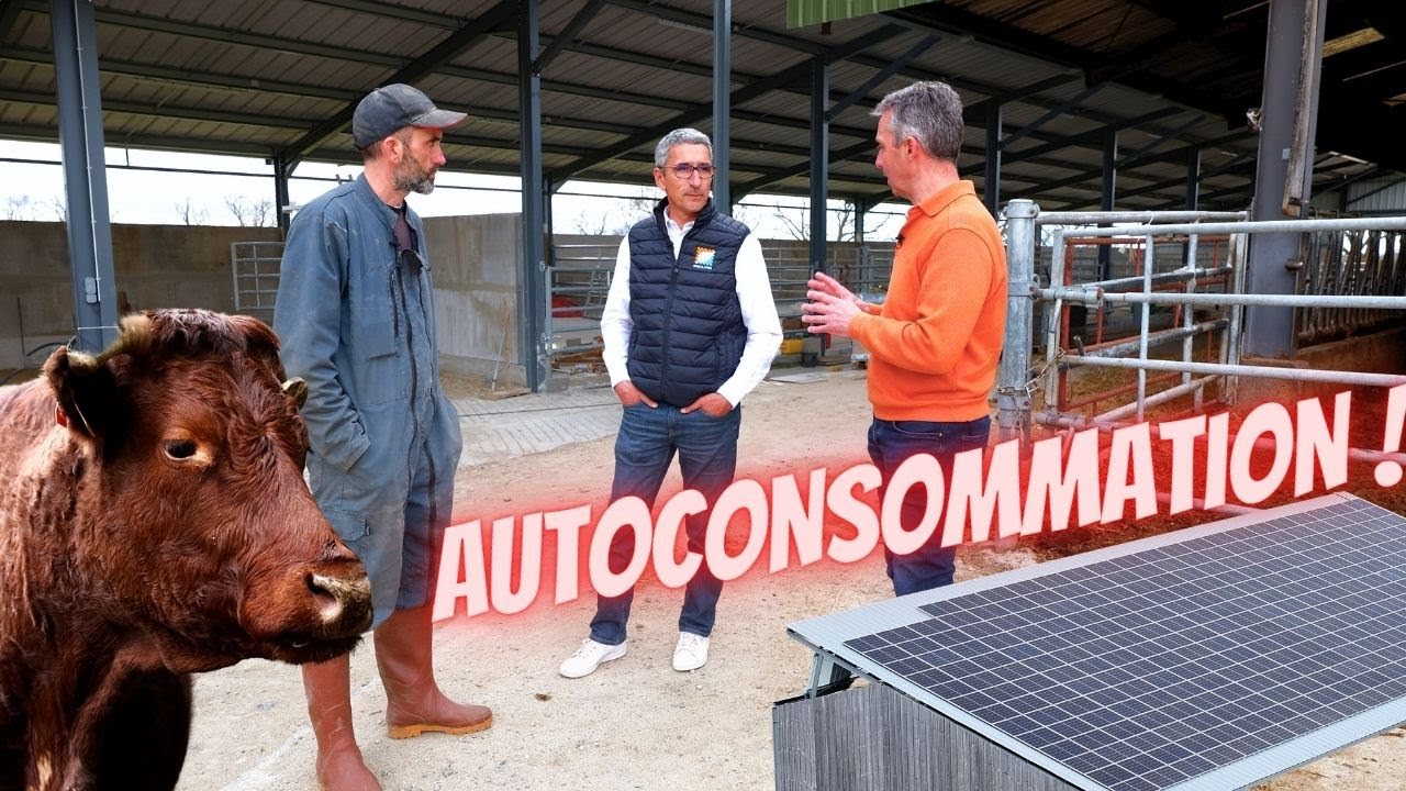 Autonomie en Alimentation et Énergie : retour d'expérience sur 5 bâtiments Irisolaris en élevage🐄.