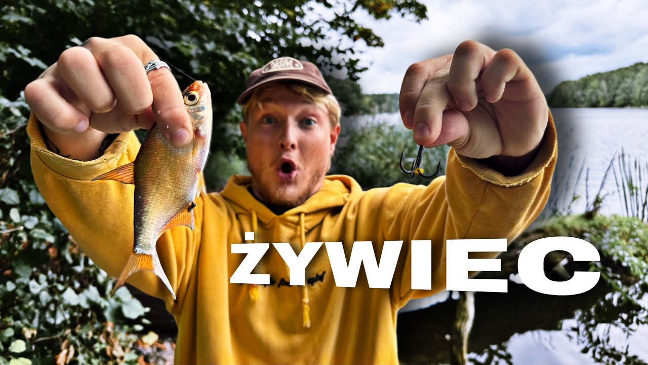 ŻYWIEC Z GRUNTU, czyli KONTROWERSYJNY SPOS&Oacute;B NA DRAPIEŻNIKA