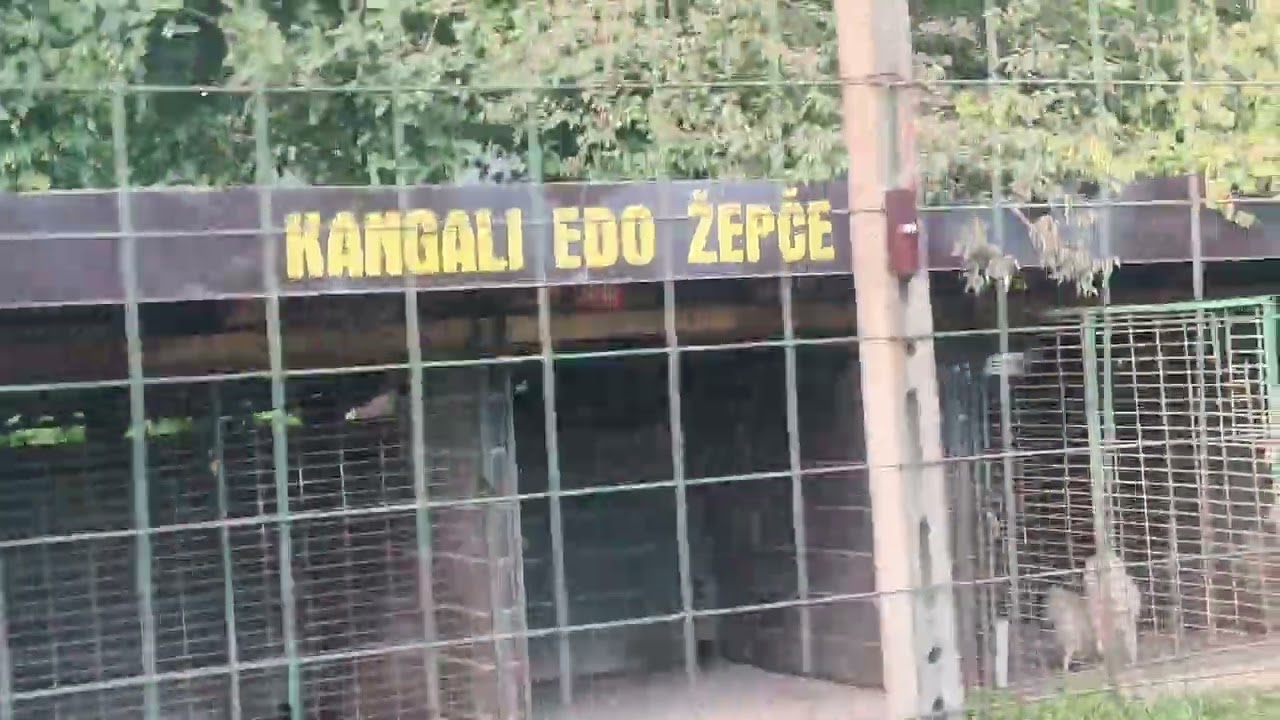 KANGALI EDO ŽEPČE