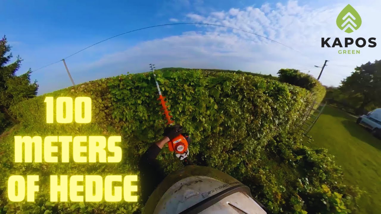 Trimming 100 meters of hedge | Episode #59
