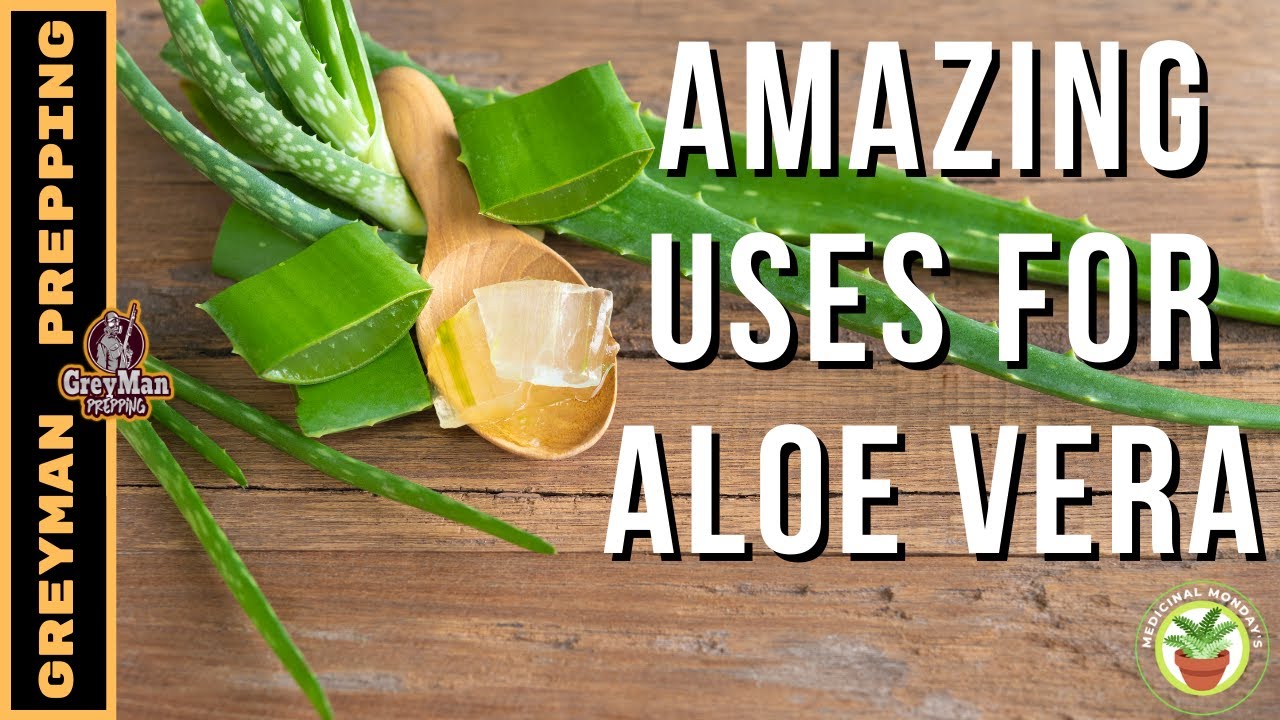 Amazing Uses For Aloe Vera | Health Benefits and Uses of Aloe Vera