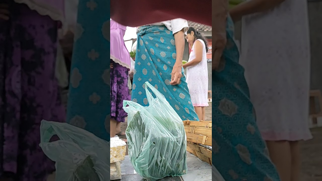 vlog sayur asyik gas pol