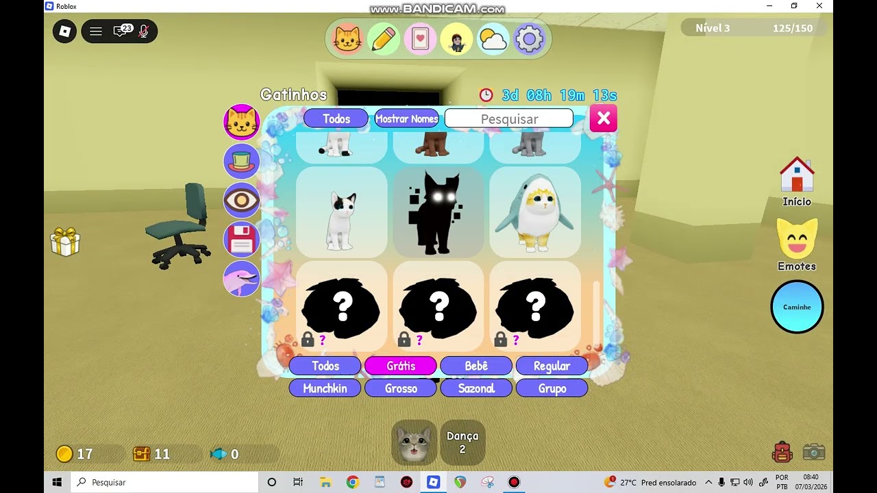 jogando jogo do gatinho
