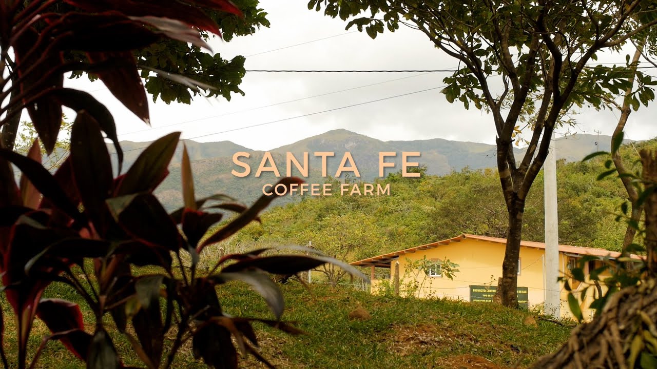 Santa Fe Coffee Farm