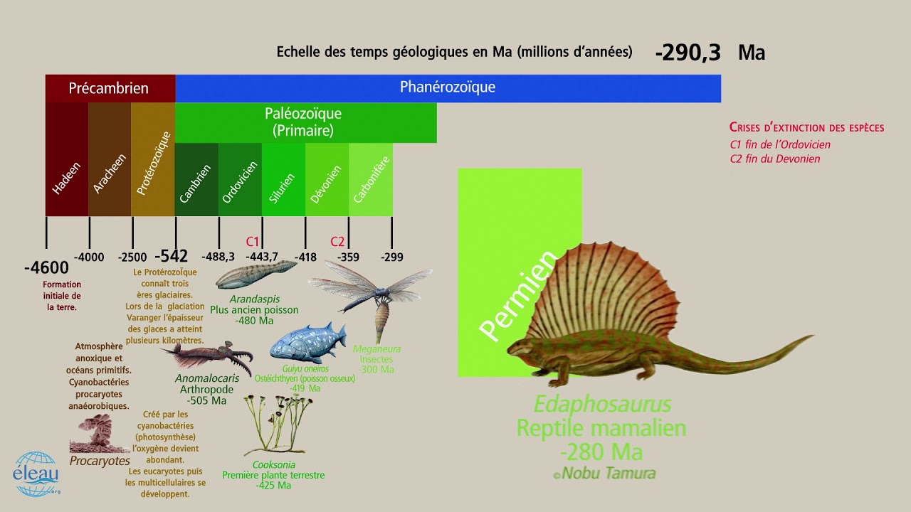 Echelle des temps géologiques de la terre