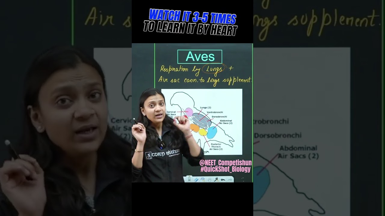 Role of additional air sac in birds | QuickShot Biology | #ncert #neet2025 #neetpreparation