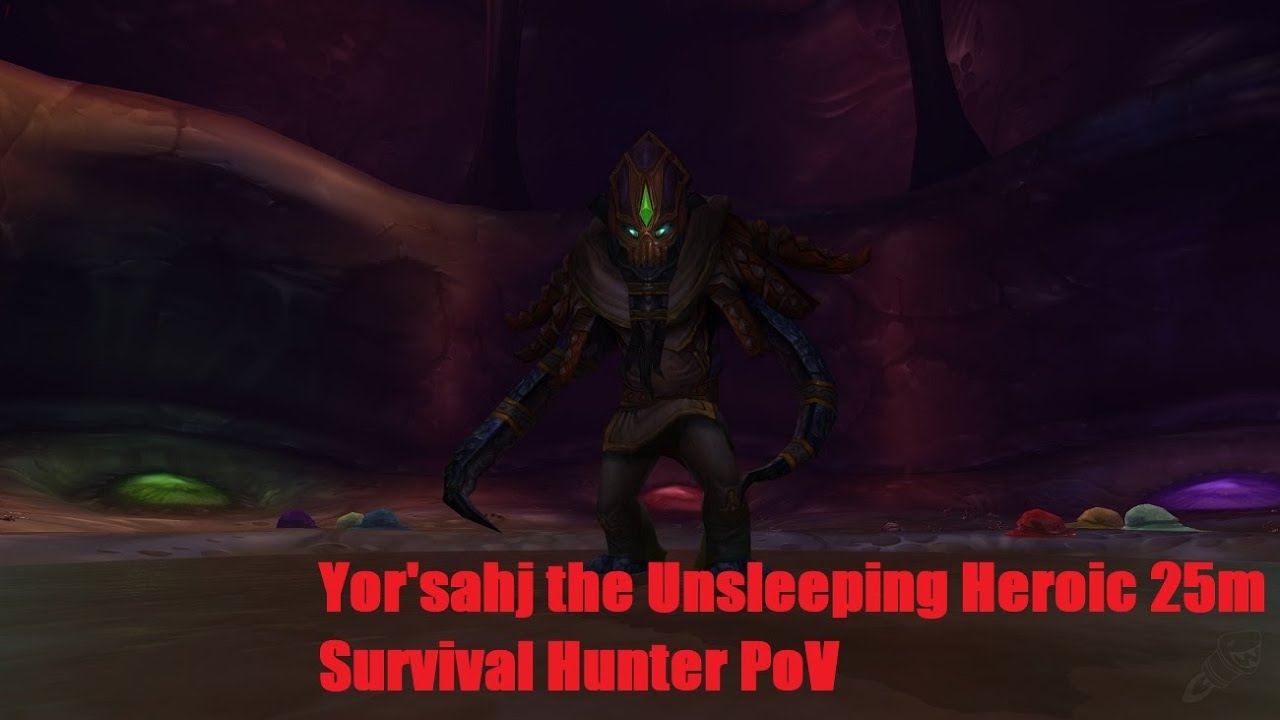Yor'sahj the Unsleeping Heroic 25m | Dragon Soul | Survival Hunter PoV | Cataclysm Classic