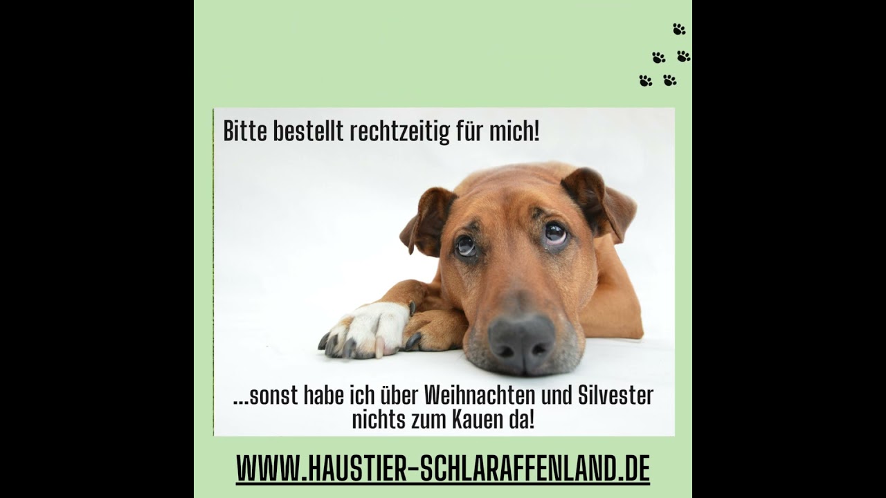 Kausnack-Vorrat f&uuml;r Hunde sichern Hundefutter - Hundesacks - Hunde-Kauartikel - artgerechtes Futter