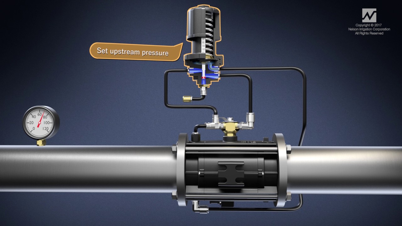 Nelson 1000 Series Pressure Sustaining Irrigation Valve