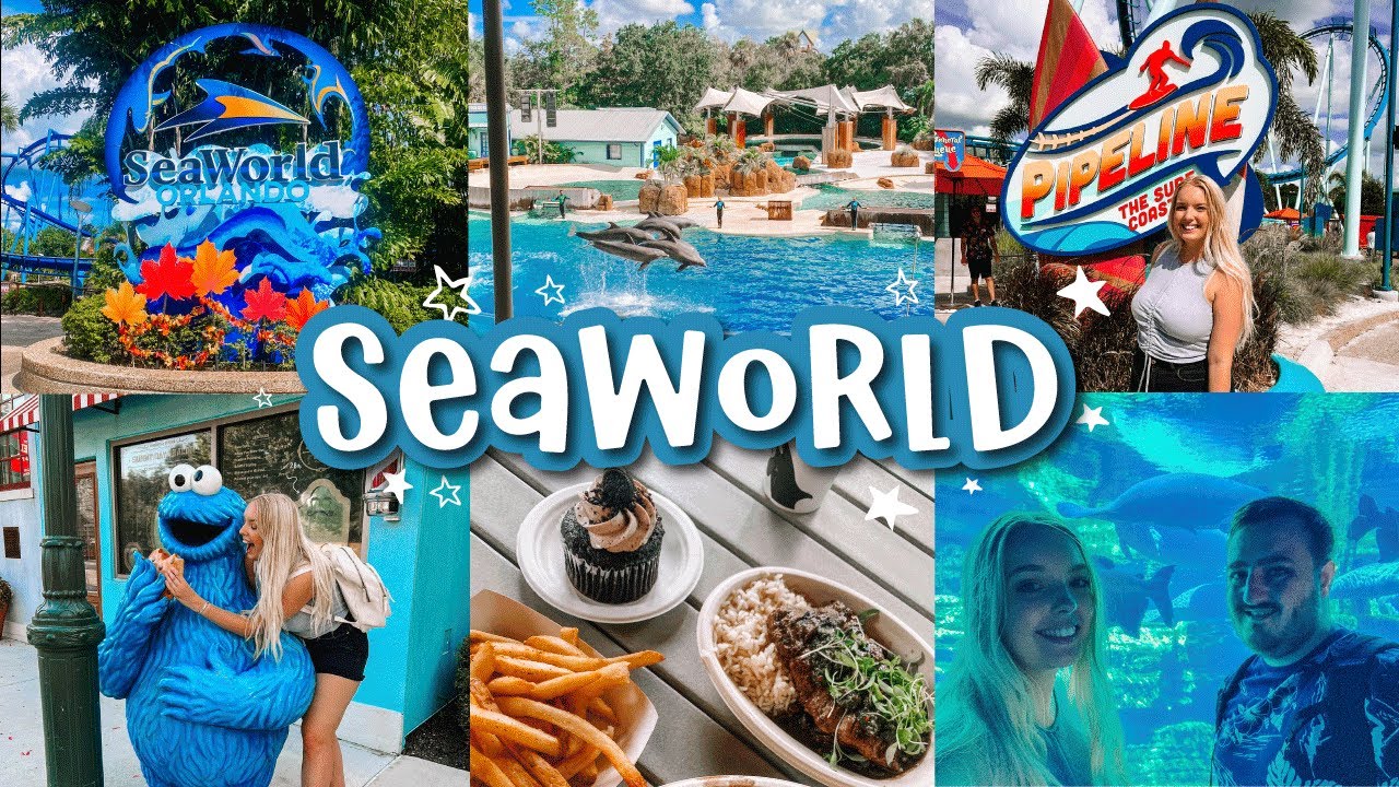 ВПЕРВЫЕ НА SEAWORLD ORLANDO 2023 | ORLANDO VLOGS 2023