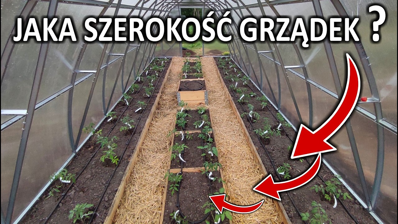 Jaka SZEROKOŚĆ grządek w szklarni 3 metrowej ???
