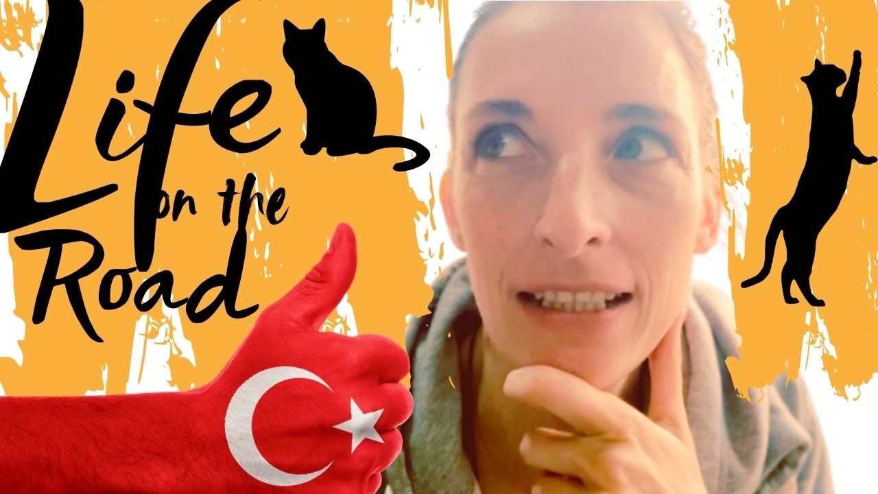 Driving the Turkish Coast with my Cats