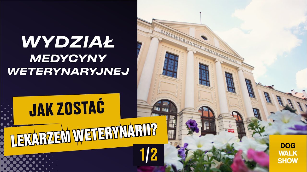 Wydział Medycyny Weterynaryjnej UP we Wrocławiu: Zostań weterynarzem! | DOG WALK SHOW #25