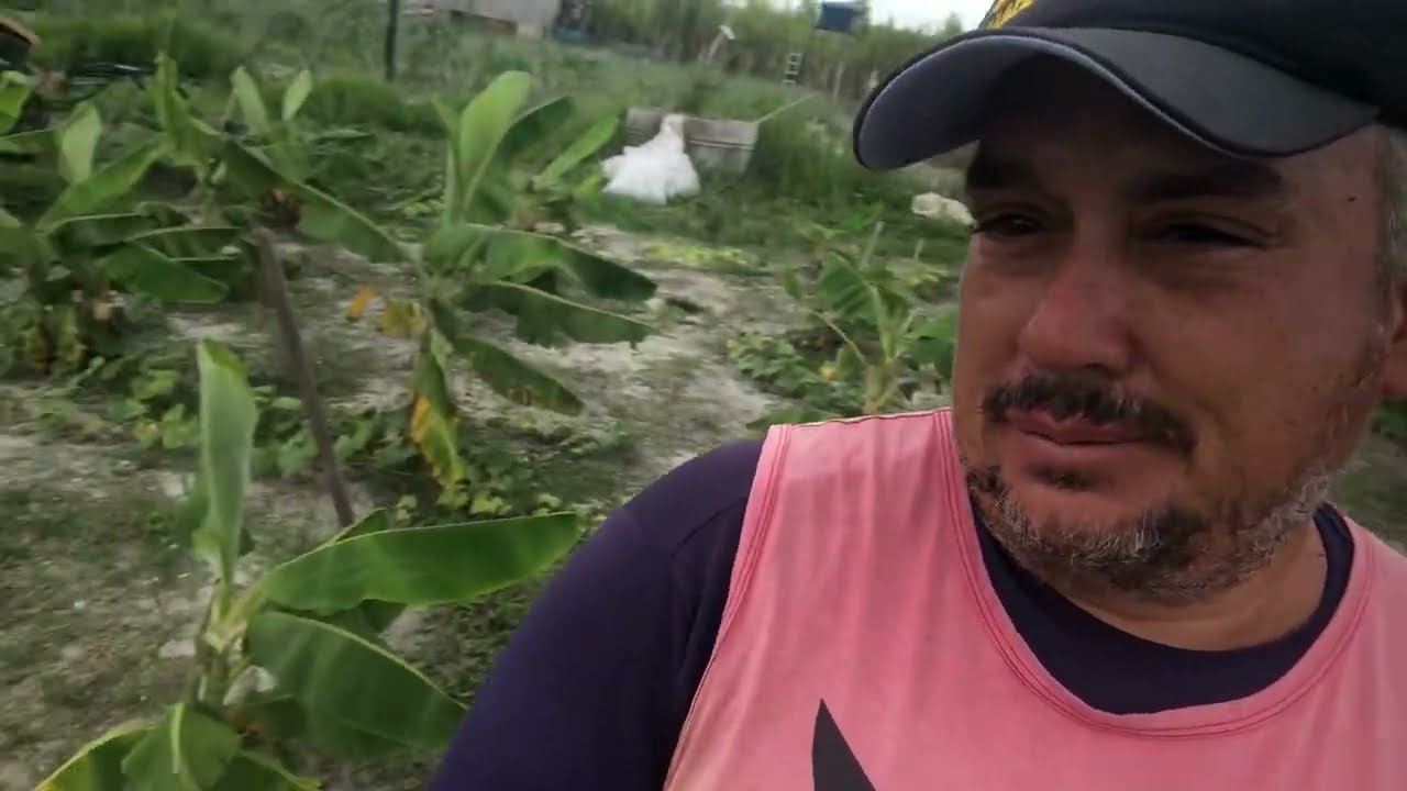 Serviço Pesado no Bananal 💪 Mas Teve Moqueca pra Recompensar !