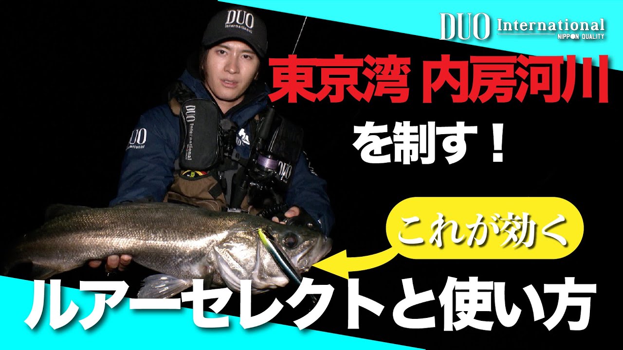 状況を読んでシーバス連釣！東京湾内房河川攻略のルアーセレクト術！