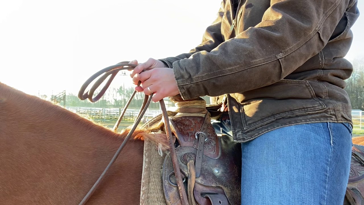 How to Hold Split Reins