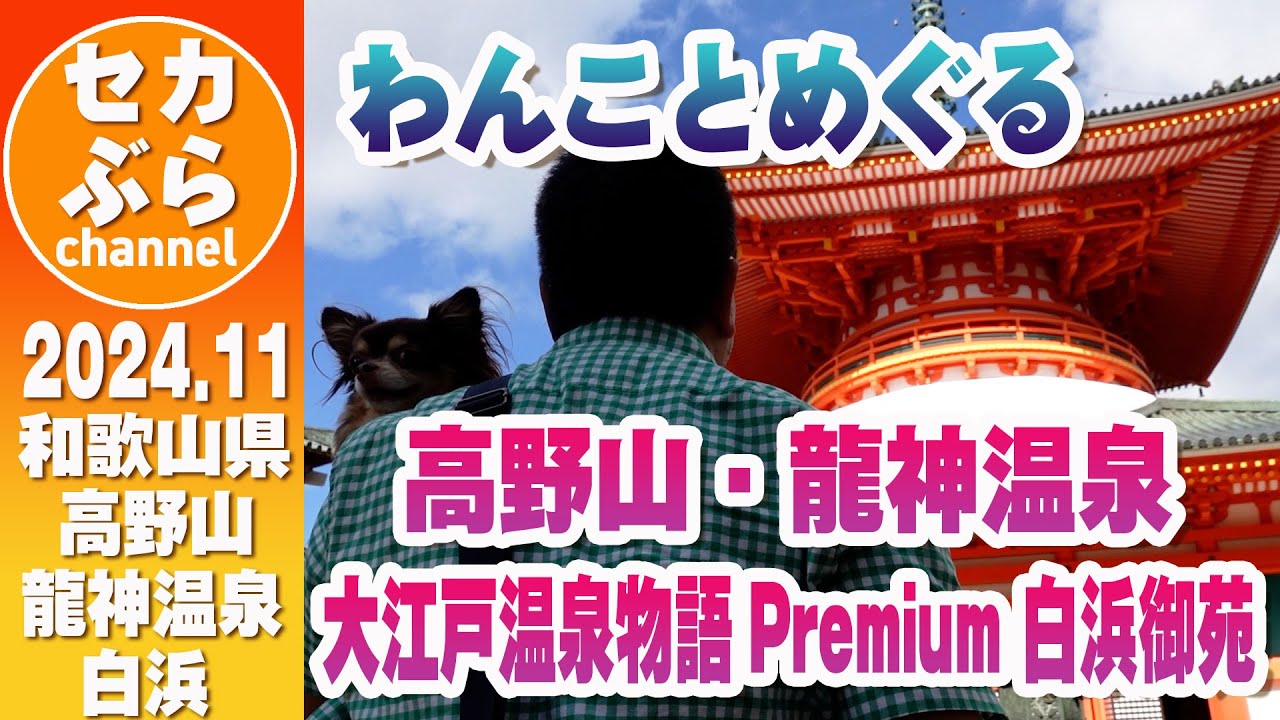 【和歌山】わんこと一緒！｜高野山、竜神温泉、南紀白浜、大江戸温泉物語白浜御苑