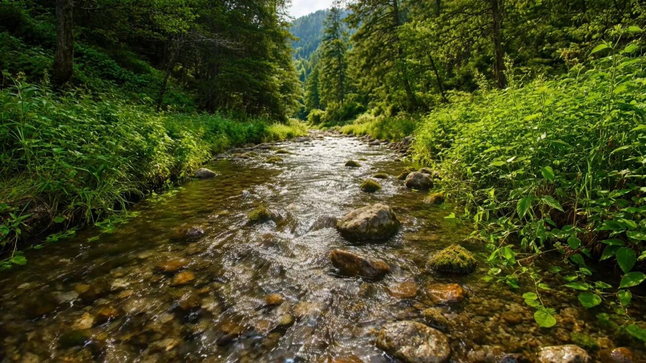 Soft River Sound for Study – Relaxing Water Ambience for Focus, Clear Thoughts, and Productivity